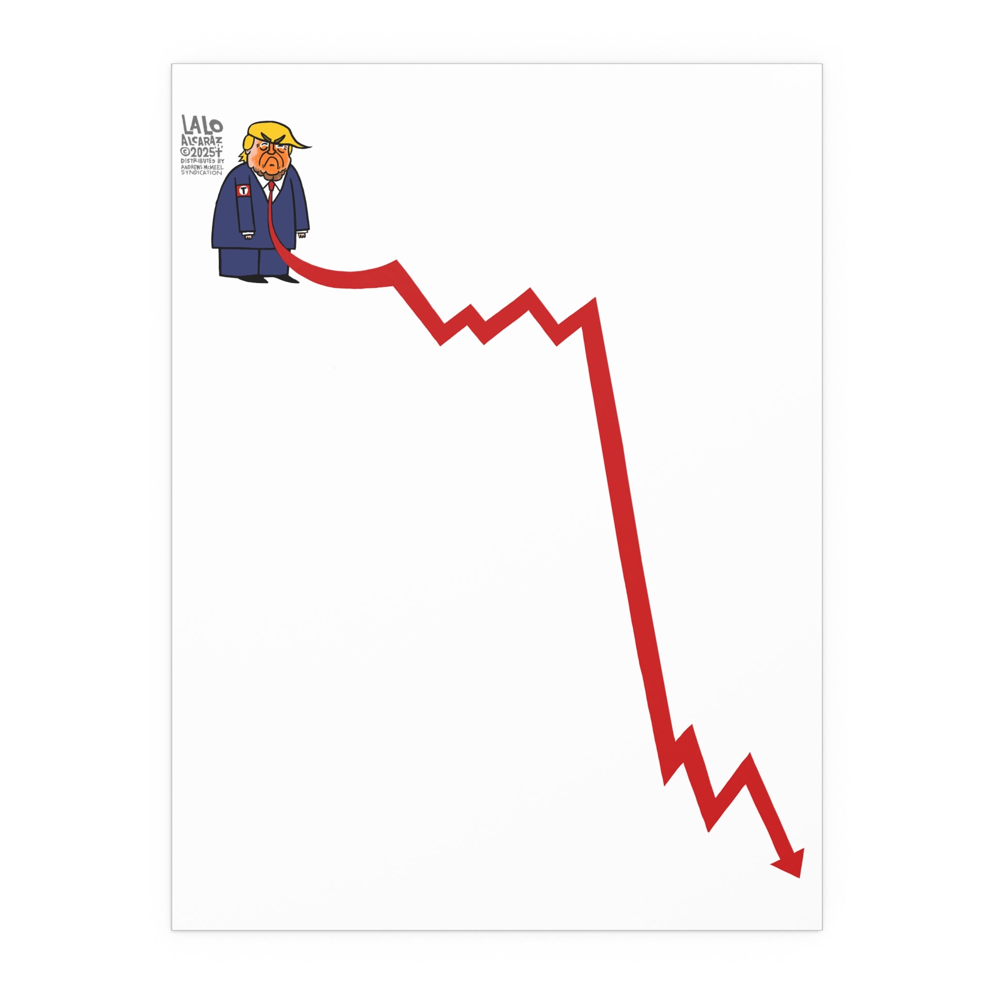 PRESIDENT DOWNALD Poster - Good for Rallies and Outdoor Use