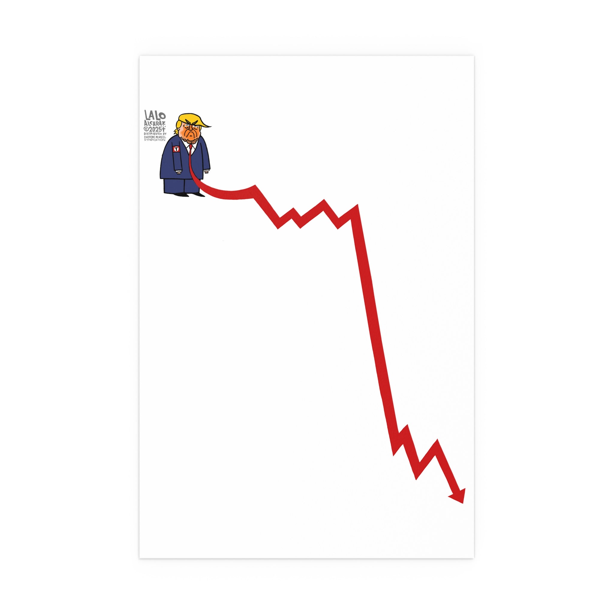 PRESIDENT DOWNALD Poster - Good for Rallies and Outdoor Use